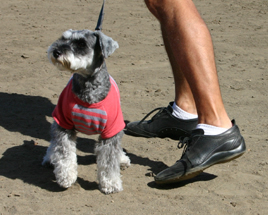 ���A���v���������c�̉�����